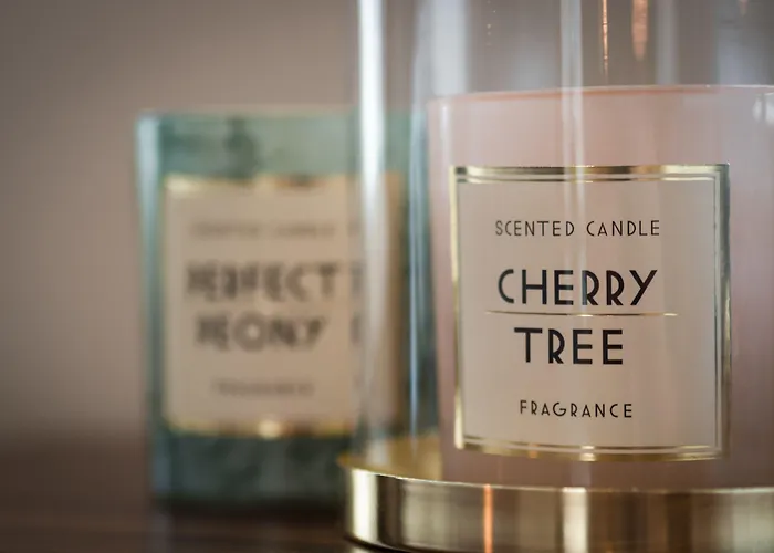 Hotel Linden Ámsterdam